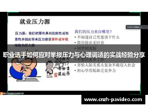 职业选手如何应对举报压力与心理调适的实战经验分享