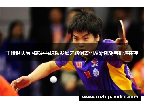 王皓退队后国家乒乓球队发展之路何去何从新挑战与机遇并存 王皓退队后国家乒乓球队发展之路何去何从新挑战与机遇并存