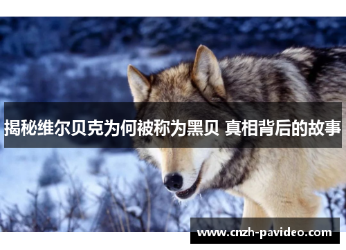 揭秘维尔贝克为何被称为黑贝 真相背后的故事