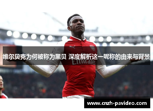 维尔贝克为何被称为黑贝 深度解析这一昵称的由来与背景